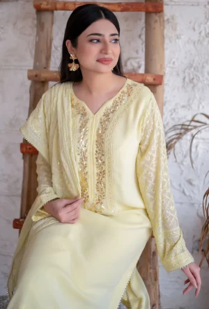 Iraj | Hand embroidered chiffon dresses for women